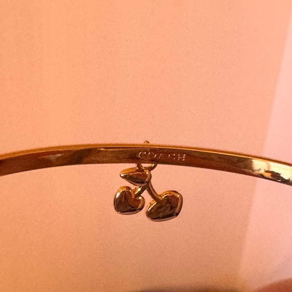 COACH slider cherry bangle bracelet New - Picture 11 of 14